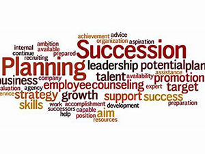cloud of words related to planning and succession